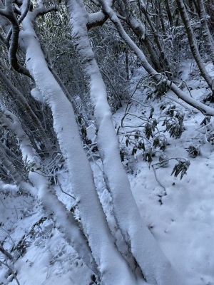 登山